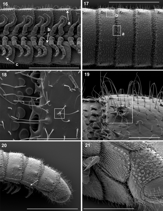 Figure 16–21.