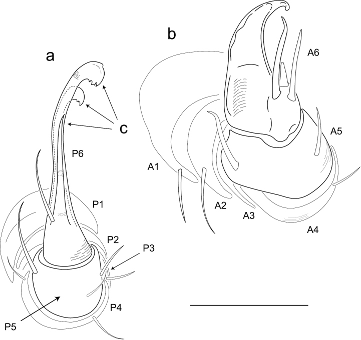 Figure 6.