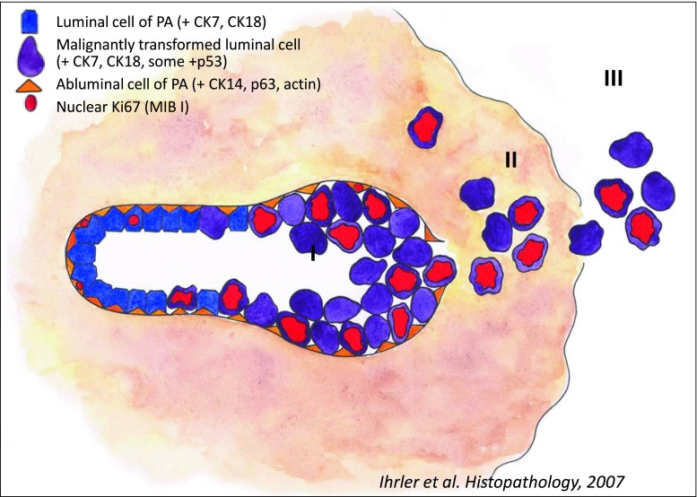 Fig. 3