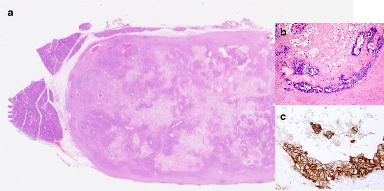 Fig. 5