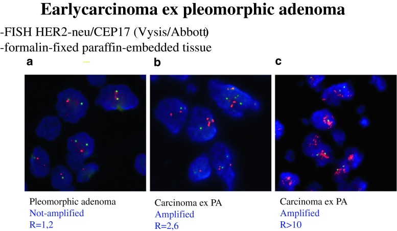 Fig. 7