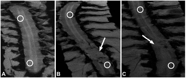 Fig. (2)