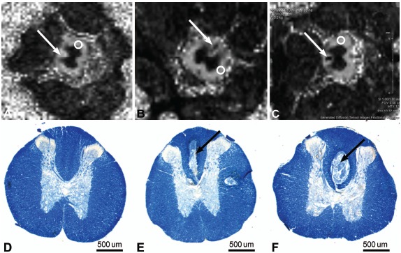 Fig. (3)