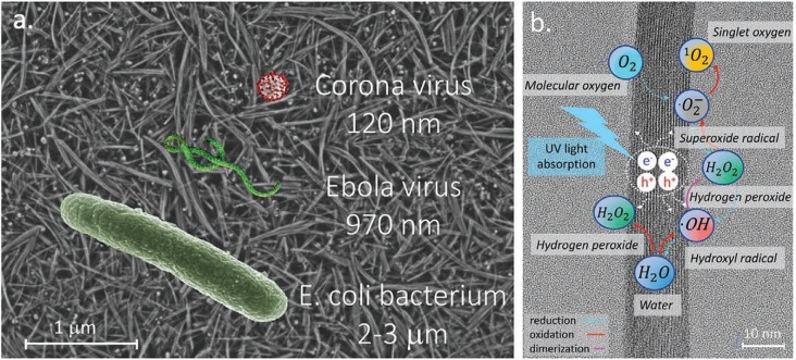 Fig. 8