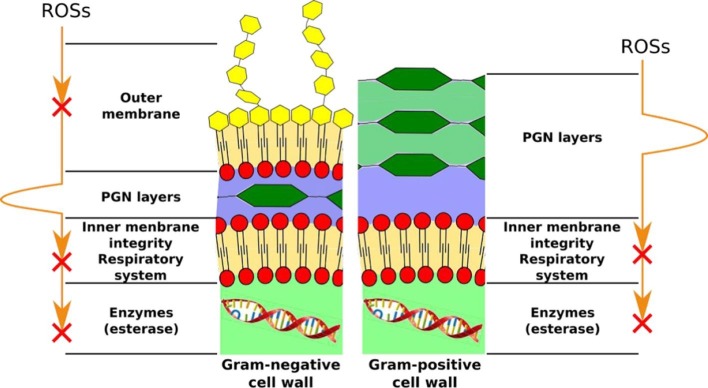 Fig. 4