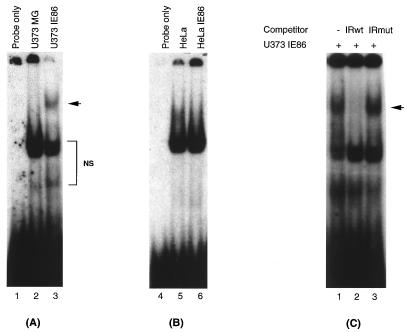 FIG. 6