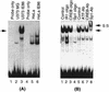 FIG. 10