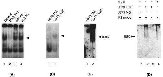 FIG. 7