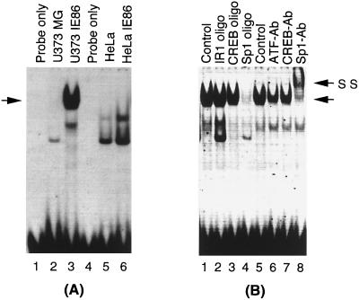 FIG. 10