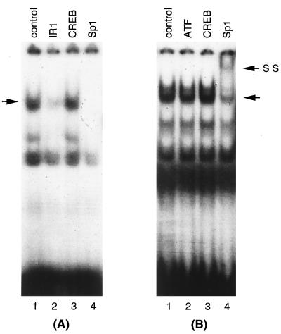 FIG. 9