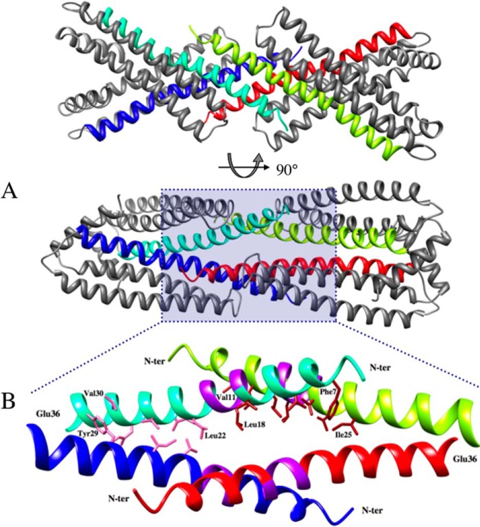 FIGURE 3.