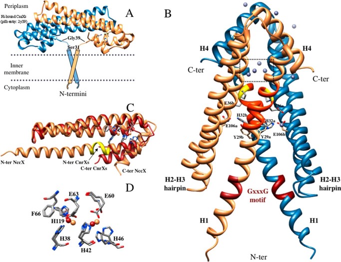 FIGURE 2.