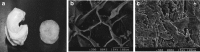 <b>FIG. 4.</b>