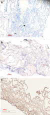 <b>FIG. 11.</b>