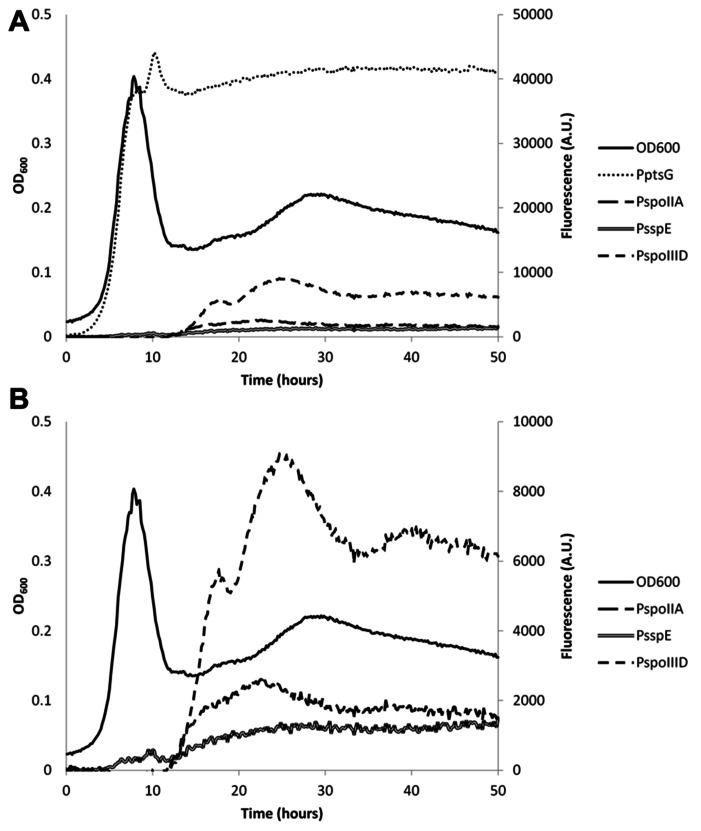 FIGURE 3