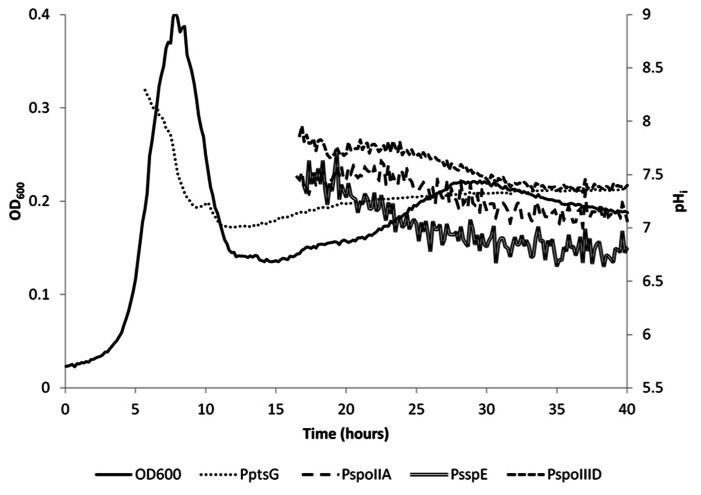 FIGURE 4