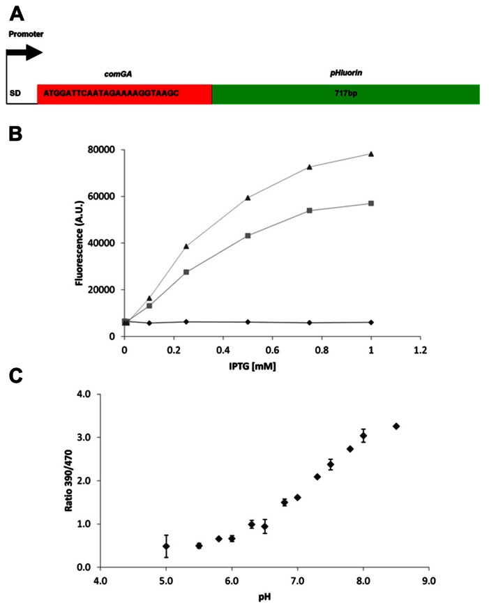 FIGURE 1