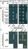 FIG 4