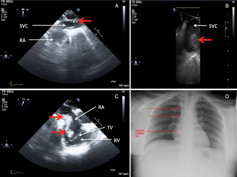 Figure 1