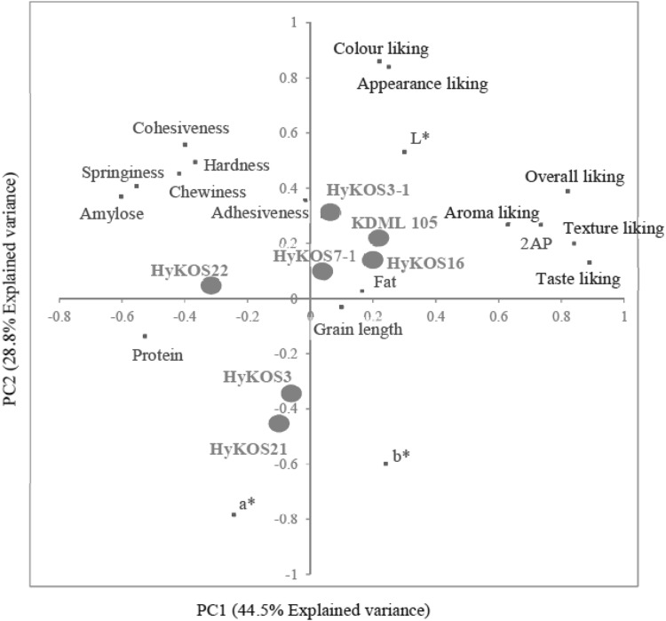 Fig. 1