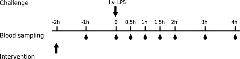 Fig. 2