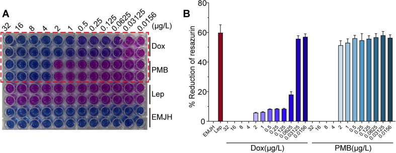 Figure 6—figure supplement 2.