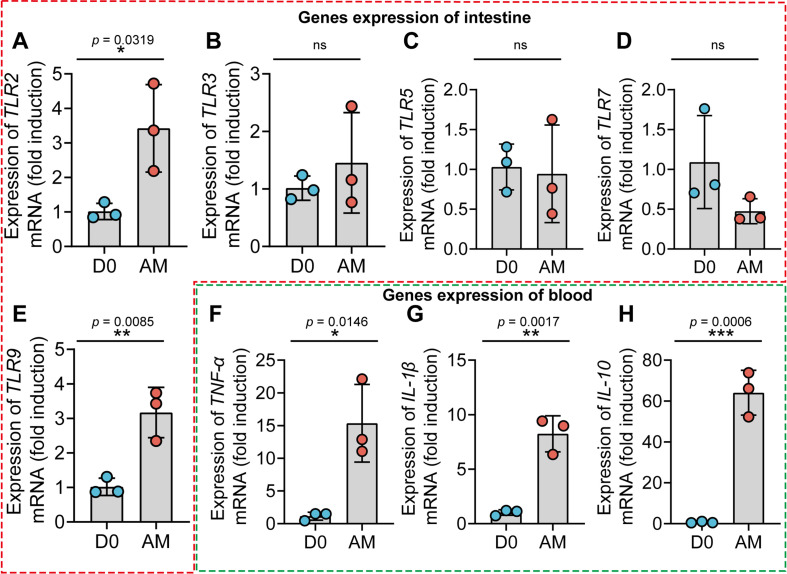 Figure 1—figure supplement 2.