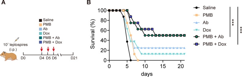 Figure 7—figure supplement 1.