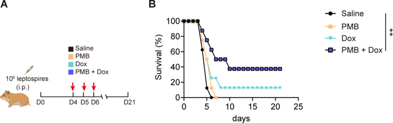 Figure 7—figure supplement 2.