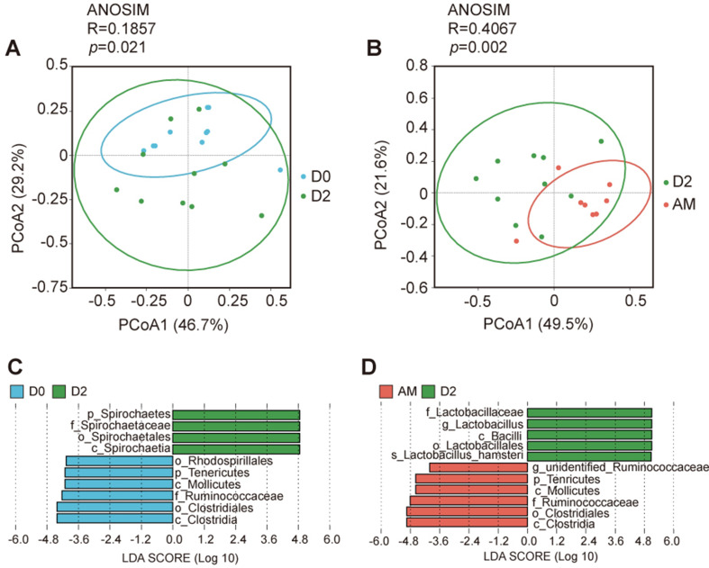 Figure 2—figure supplement 1.