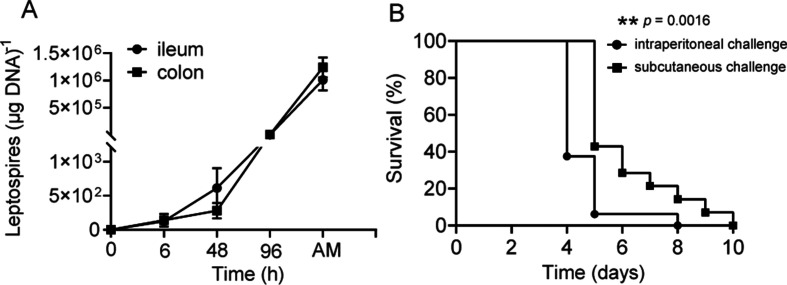 Figure 1—figure supplement 1.