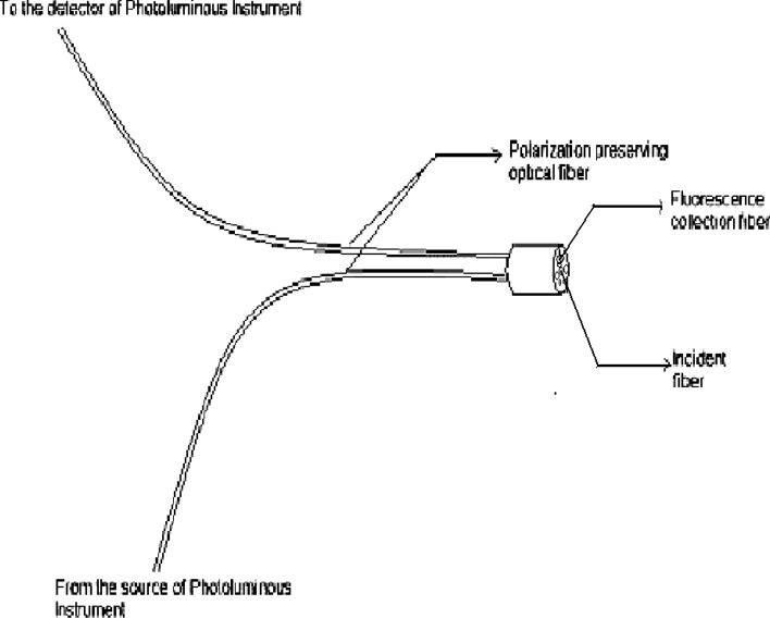 Fig. 5