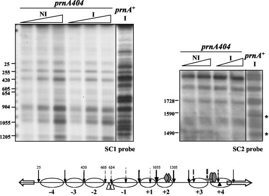 FIG. 4.