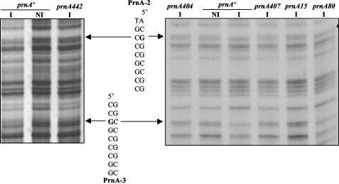 FIG. 5.