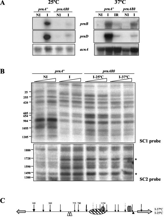 FIG. 6.