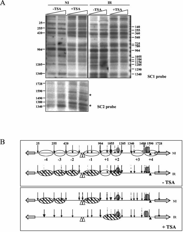 FIG. 11.