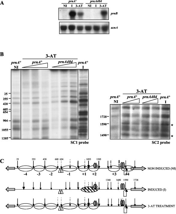 FIG. 7.