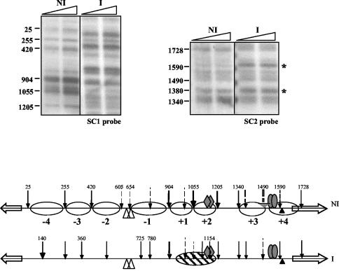 FIG. 8.