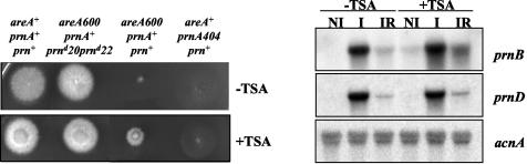 FIG. 10.