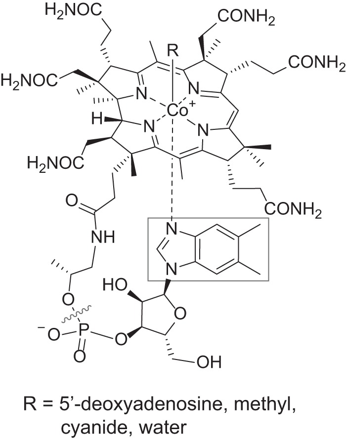 FIG 1