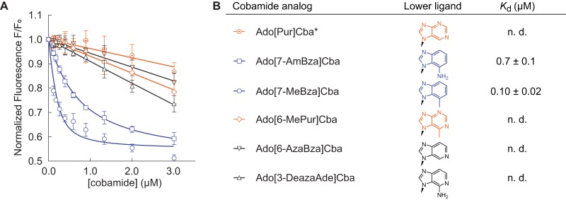 FIG 6