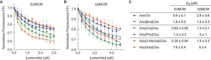 FIG 3