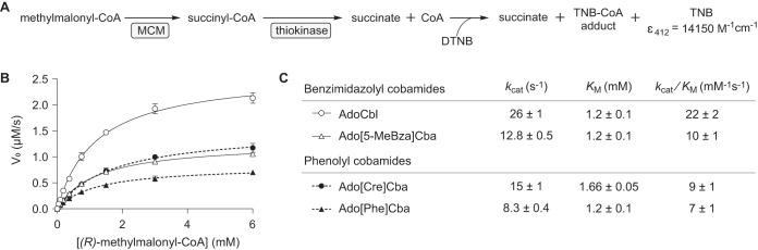 FIG 4