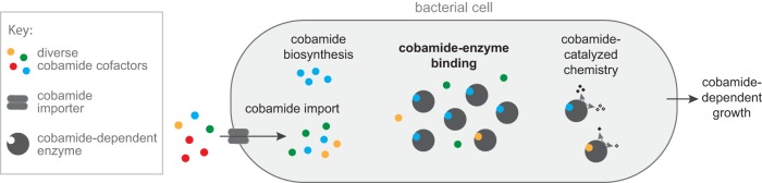 FIG 7