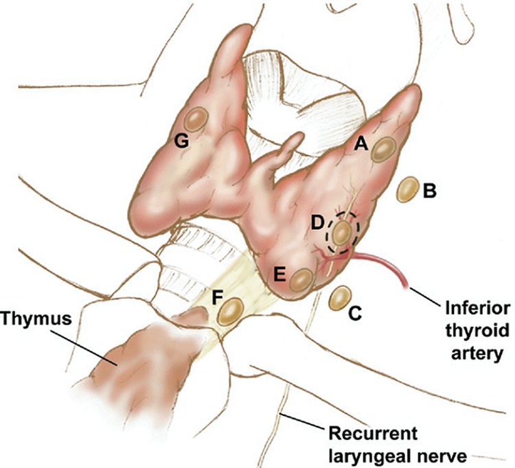 Fig 1.