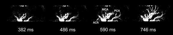 Figure 4c: