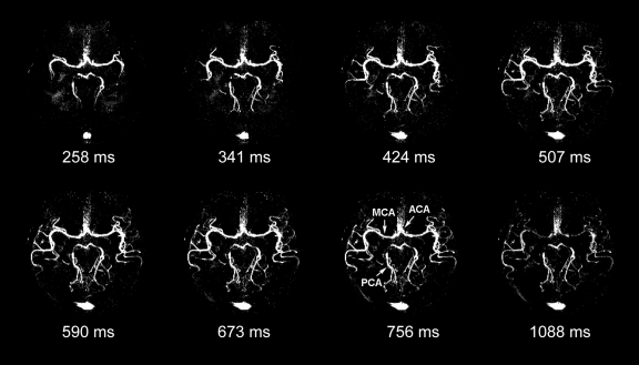 Figure 3a: