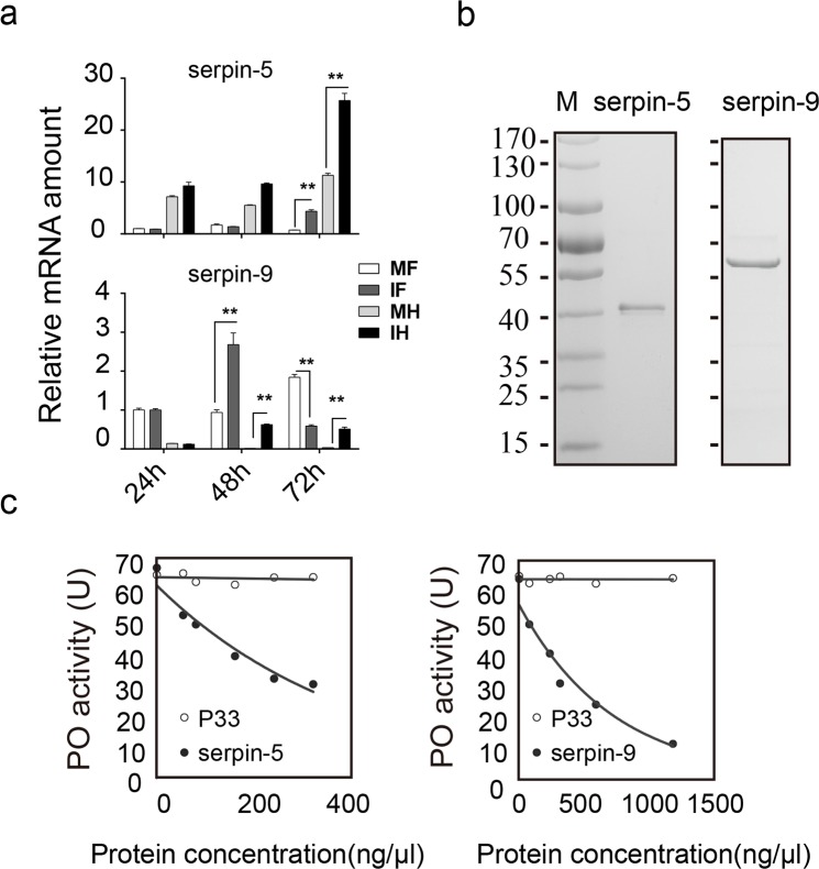 Fig 4