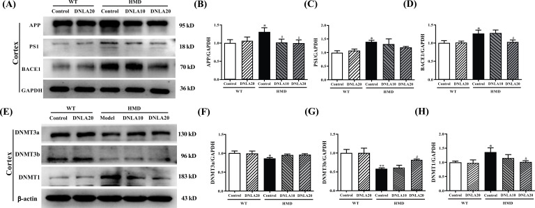 Fig. (4)