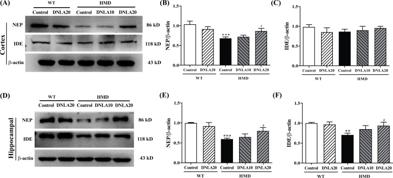 Fig. (10)